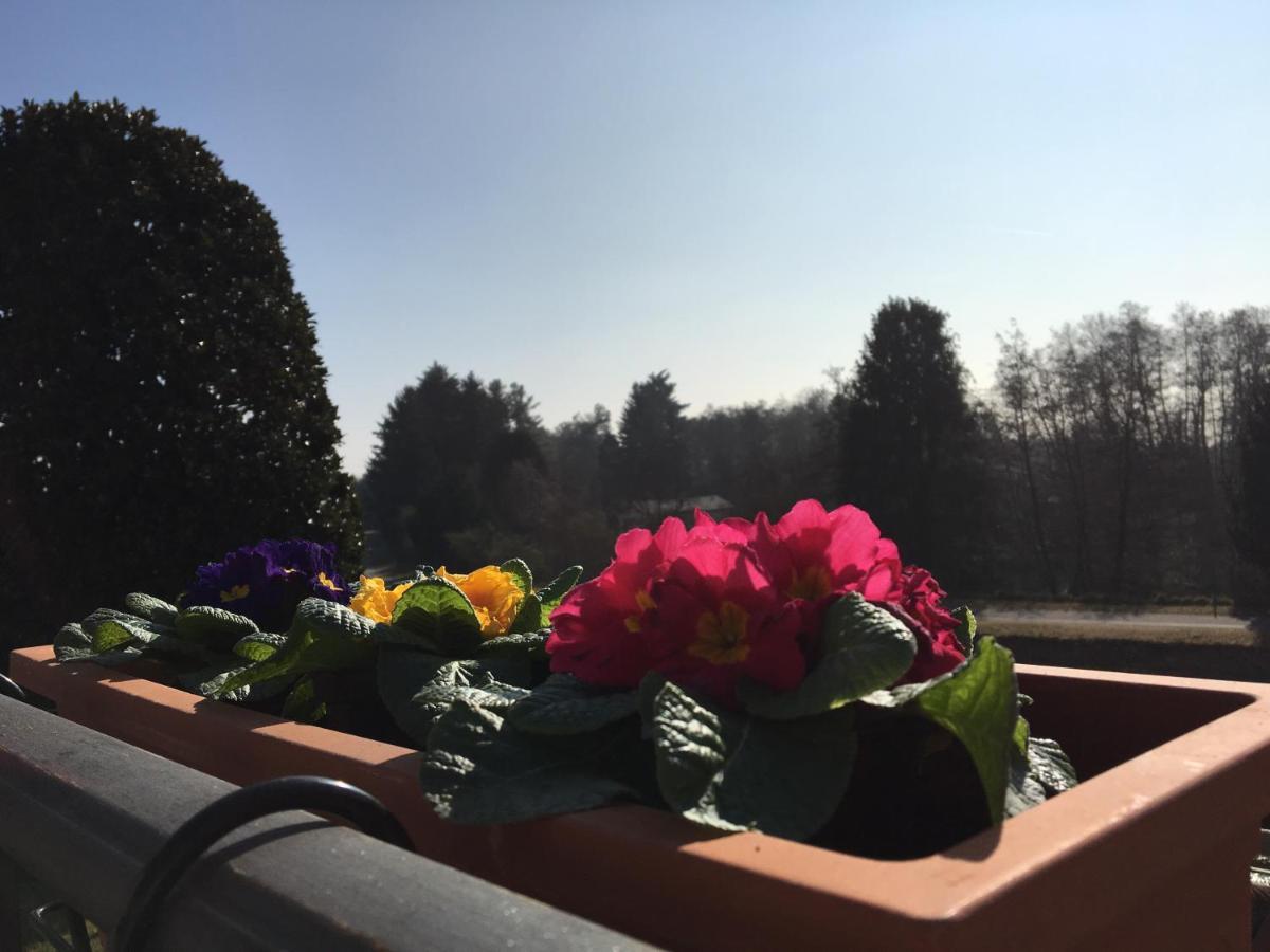 La Terrazza Sul Naviglio B&B Bernate Ticino Ngoại thất bức ảnh